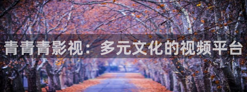 红叶影视官网：青青青影视：多元文化的视频平台