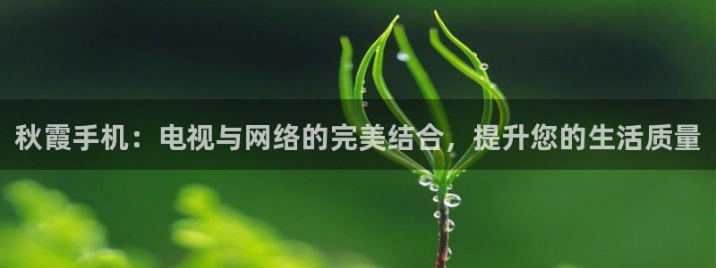 西安红叶影城：秋霞手机：电视与网络的完美结合，提升您的生活质量