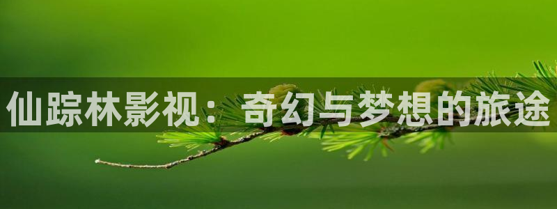 红叶影视完整版：仙踪林影视：奇幻与梦想的旅途