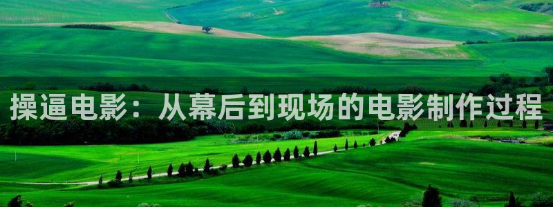 红叶电影今日影讯：操逼电影：从幕后到现场的电影制作过程