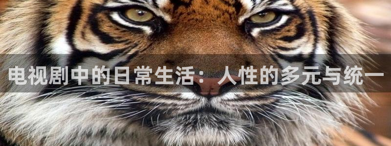 六安红叶影城今日电影：电视剧中的日常生活：人性的多元与统一