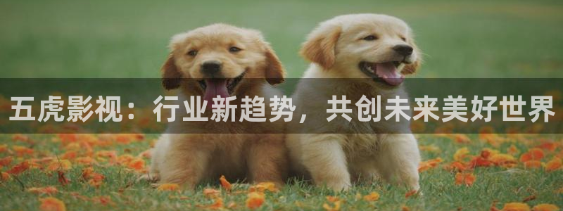 红叶影院下载：五虎影视：行业新趋势，共创未来美好世界