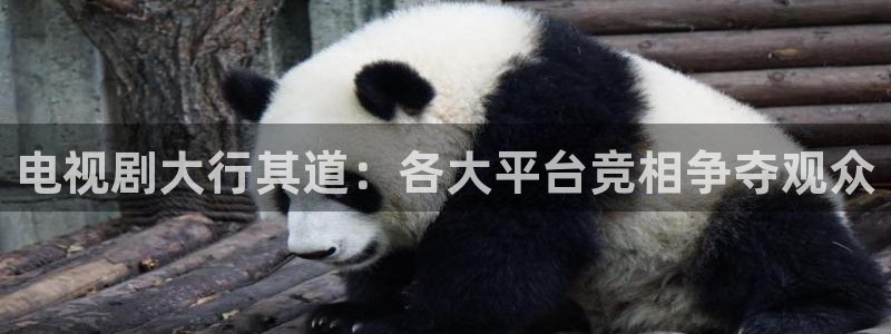 红叶电影院今日影讯：电视剧大行其道：各大平台竞相争夺观众