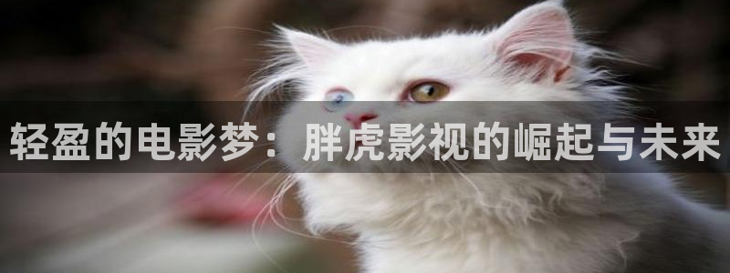 六安红叶影城电影：轻盈的电影梦：胖虎影视的崛起与未来