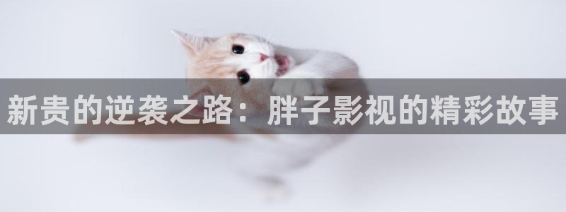 西安红叶影城：新贵的逆袭之路：胖子影视的精彩故事
