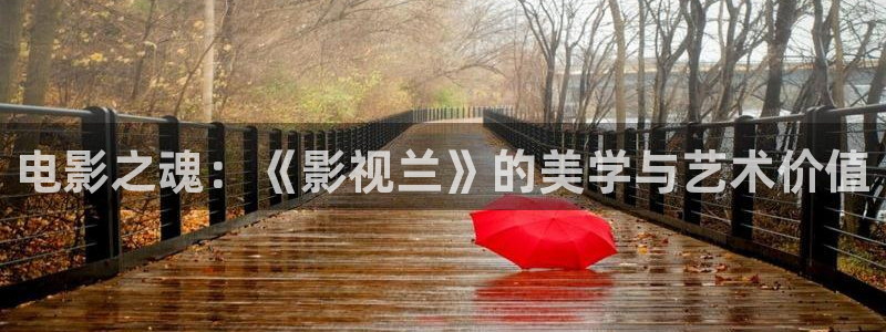 红叶影城：电影之魂：《影视兰》的美学与艺术价值