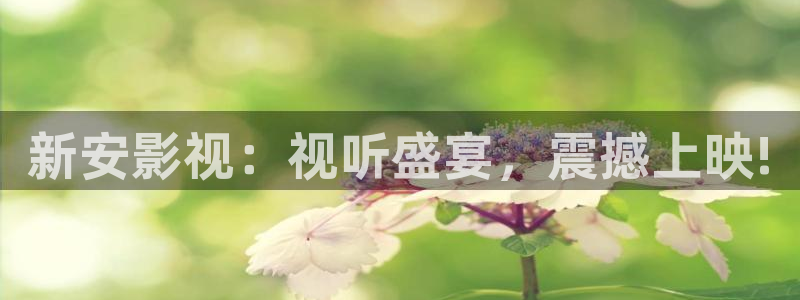 红叶影视下载app官方下载：新安影视：视听盛宴，震撼上映!