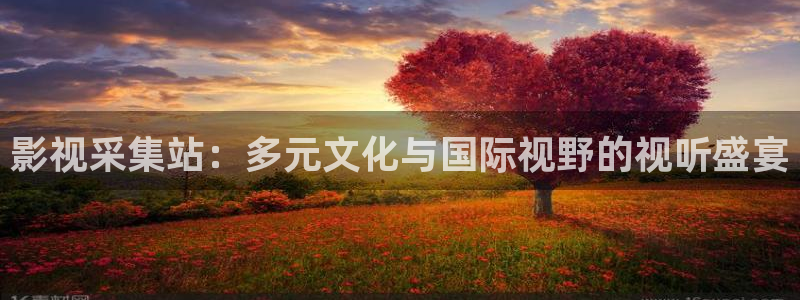 红叶影视：影视采集站：多元文化与国际视野的视听盛宴
