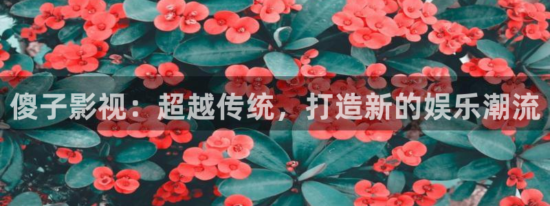 红叶影院app：傻子影视：超越传统，打造新的娱乐潮流